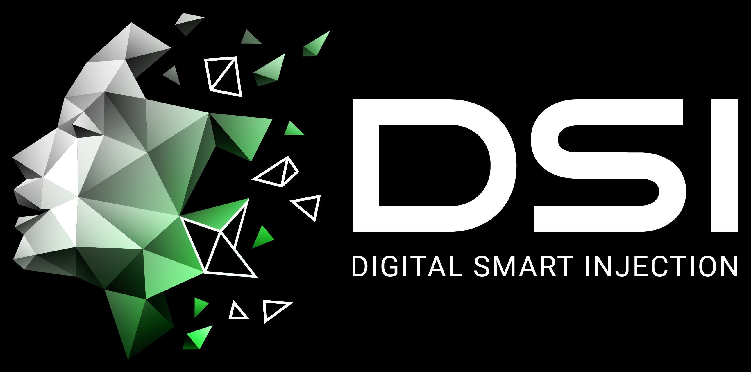 DSI – Digital Smart Injection
